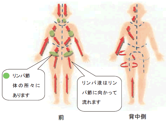 リンパ 浮腫