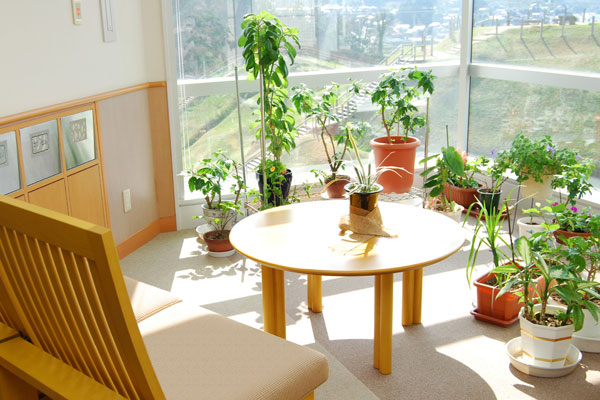 中央にテーブルと椅子があり、明るい日差しが窓際に置かれた植物に差し込む