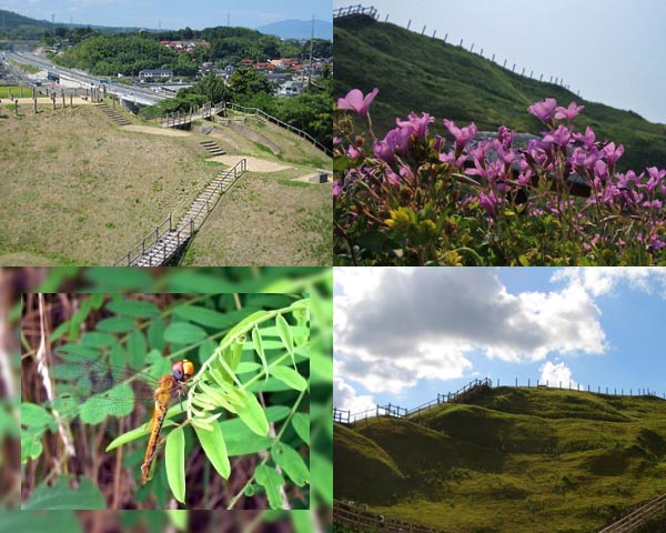 隣接の田和山の風景