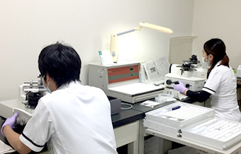 病理・細胞検査