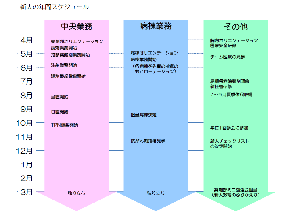 新人の年間スケジュール